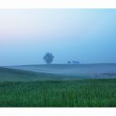 목장의아침 이미지