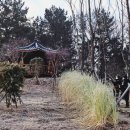 옥봉동방호텔2(우측) | 선학산 주능 종주