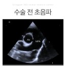 공감+동물의료센터 이미지
