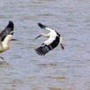 주남저수지 이미지