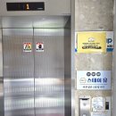 스테이유 이미지