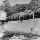 박정희로-3 이미지