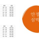 스파인랩 이미지