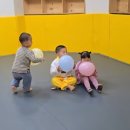 원도태권도장