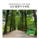 오산 물향기수목원 여름 후기, 추천 코스 7곳·주차·소요시간 총정리