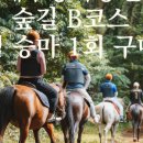 마리랑승마