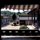 차경 이미지