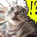 에스(S)모텔 이미지