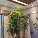 최영민 동물의료센터 이미지