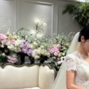 대전·청주·천안 웨딩 소식 한눈에 — 최신 후기 총정리 💍