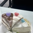 티나케이크(tinacake)