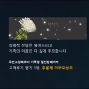 신성네트워크주 | 26년 무빈소 장례식장 직접 후기 정리 및 더추모 후불제상조 가격 정보