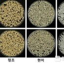 충주쌀 이미지