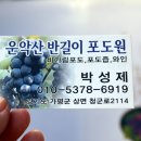 반길이농원
