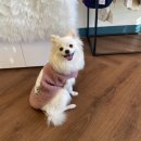 호밀공방 이미지