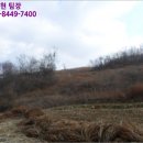 강서리 이미지