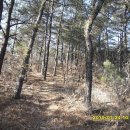 송전목장 이미지