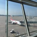 코타강쥐 이미지