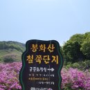 5월7일 장수봉화산 철쭉및 등산합니다 이미지