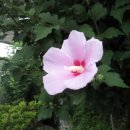 대박 행정사 사무소 이미지