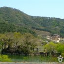 환산정 Daum카페