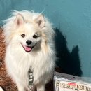 네츄럴이엑스 이미지