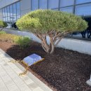 주식회사 녹색약품 이미지