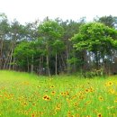 동강리 마을회관 이미지