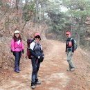 물무산행복숲둘레길 이미지