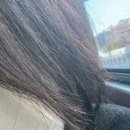 화명대로 | 그로잉살롱 화명점 설아 디자이너 나노힛 클리닉 후기｜상한 머리 속부터 채운 느낌