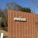 분당 카페 모쓰 (Mosss) : 율동공원 근처에 위치한 정원이 있는 분위기 좋은 대형 카페