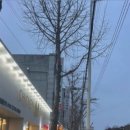 구암동199 이미지