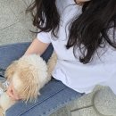 독도여행사주 | 강원도 속초 가볼만한 곳, 속초 1박 2일 여행 코스 총정리(애완동반 가족여행) 2탄