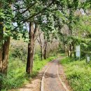 오읍(북산)약수터 이미지