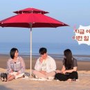 미스터한 TV리포트
