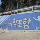 무지개약국 | 울릉도 숙소 추천/ 울릉도 무지개펜션🌈/울릉도 스노클링/ 학포항🐟