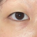 단구초교길 | [원주] '뷰티로' 속눈썹펌 솔직 후기