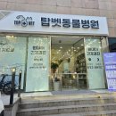 탑벳 동물병원 이미지