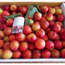 참사랑농원 이미지