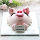 로에성형외과의원 이미지