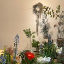 운양농장 | 김포 기념일 꽃배달 실력 좋은 오브아플라워&amp;홈 방문해서 감성 충전한 후기.