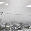 새한그레인 이미지