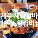 부림동 39-8 공영주차장 | 제주 세화갈비 본점 매운소왕갈비찜 후기