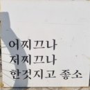 송정cafe1913 이미지