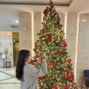 써미트세탁 | 서울 호텔 | 동대문 써미트호텔 스탠다드 더블룸 내돈내산 후기