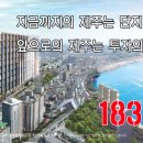 디펠리체 이미지