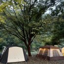 구름계곡캠핑장 | [경기/가평] 계곡뷰 "구름계곡 캠핑장" A8 사이트 이용 후기