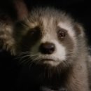 Guardians of the galaxy vol 3 “Creep 이미지