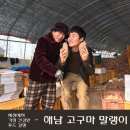 해남 고구마 말랭이 - 진짜 재료를 찾아 떠나다.