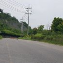 파래스모텔 이미지